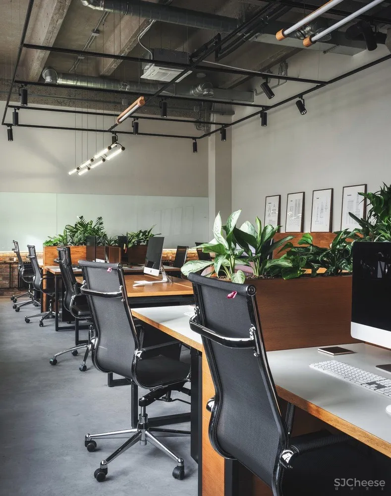 PETSHOP office / PAUM design 首