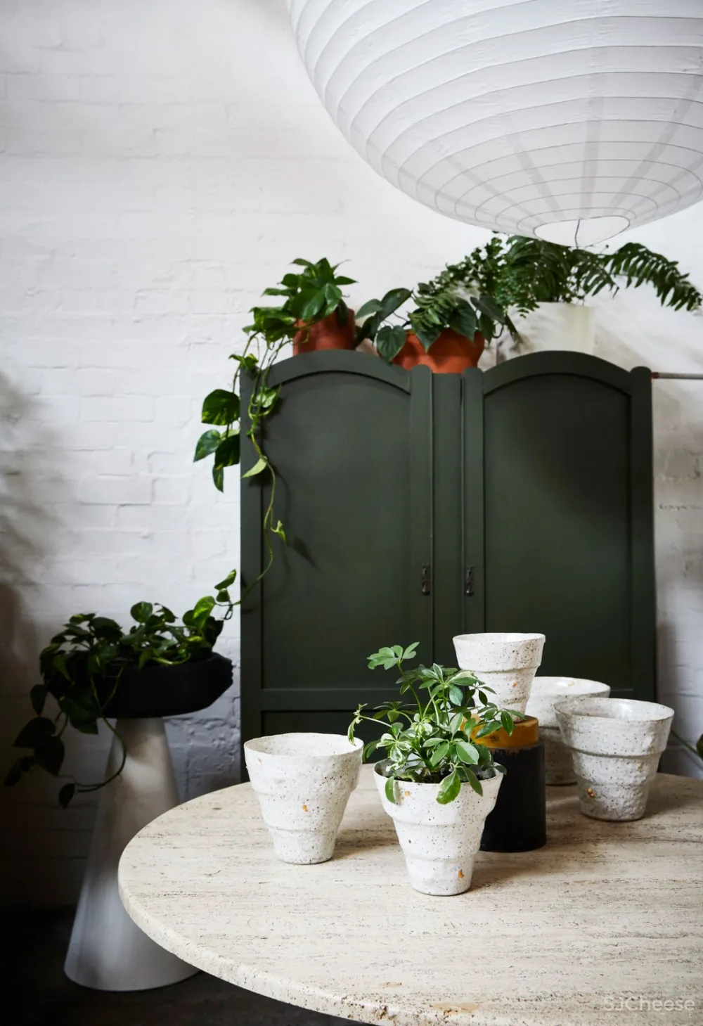 THE PLANT SOCIETY 植物协会新旗舰店