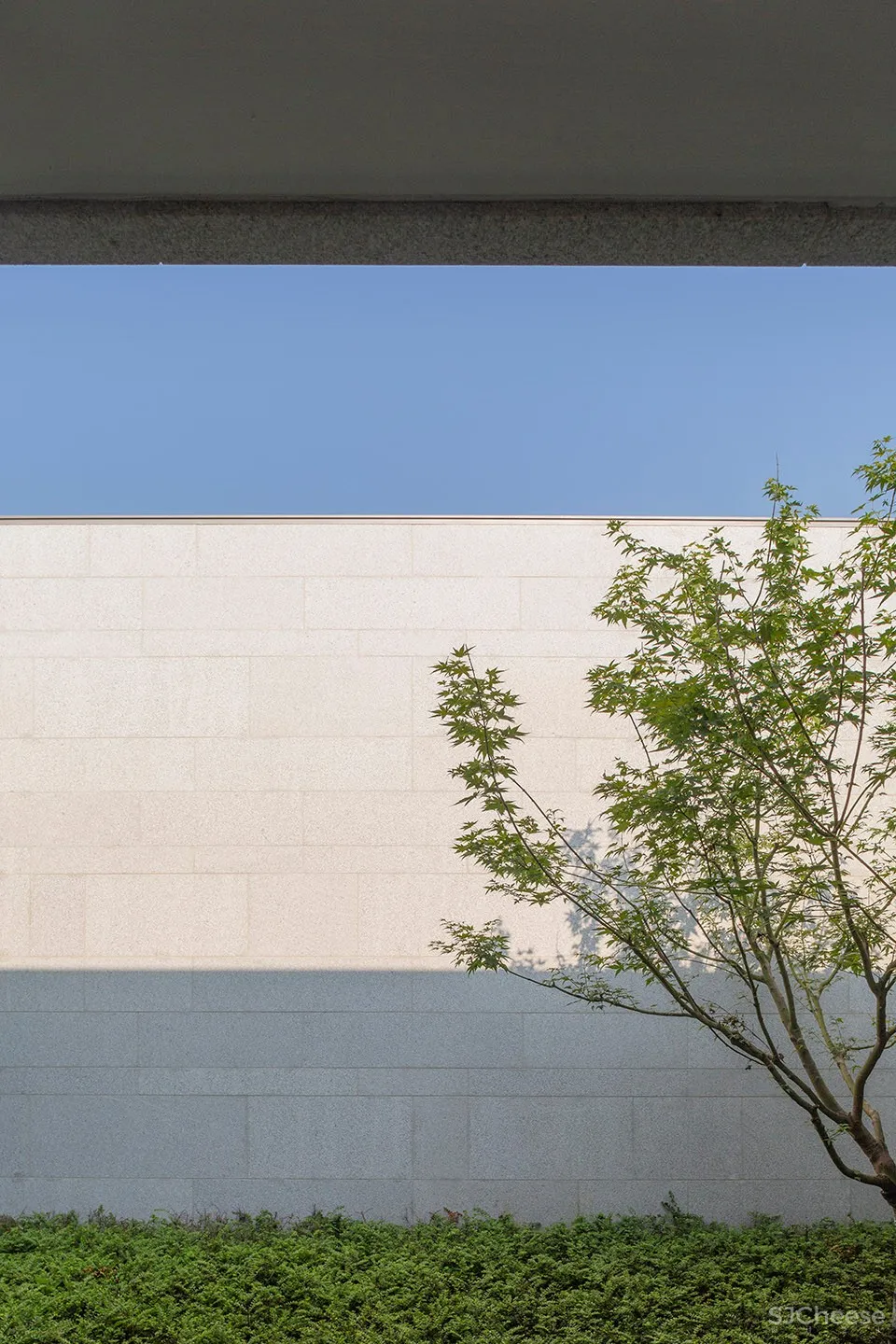 张唐景观:乌镇 Alila酒店 首