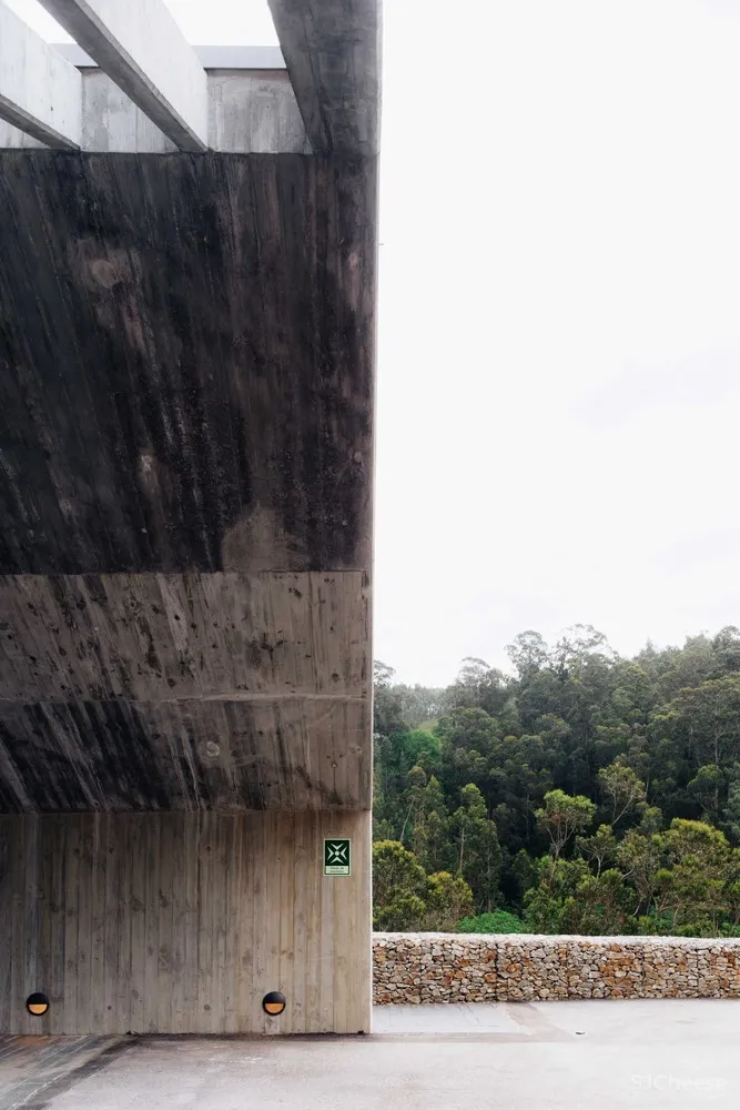 Pedro Geraldes | 森林中的现代工业建筑