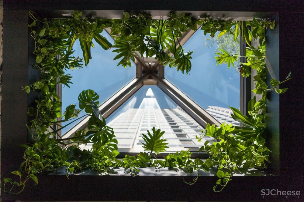 蒙特利尔Ryu日本连锁餐厅