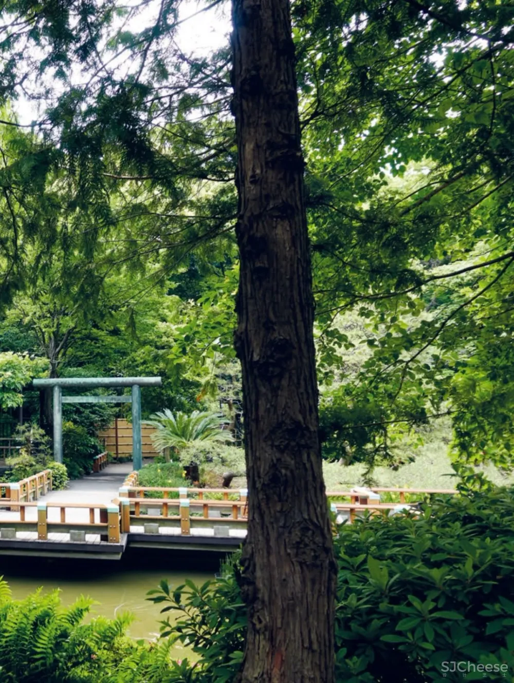 隈研吾最新定制级绝美奢宅:回归竹林生活的灵魂设计!