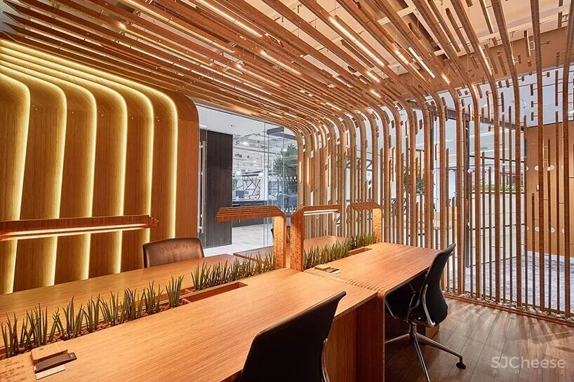 daewha kang设计公司实验性办公室设计