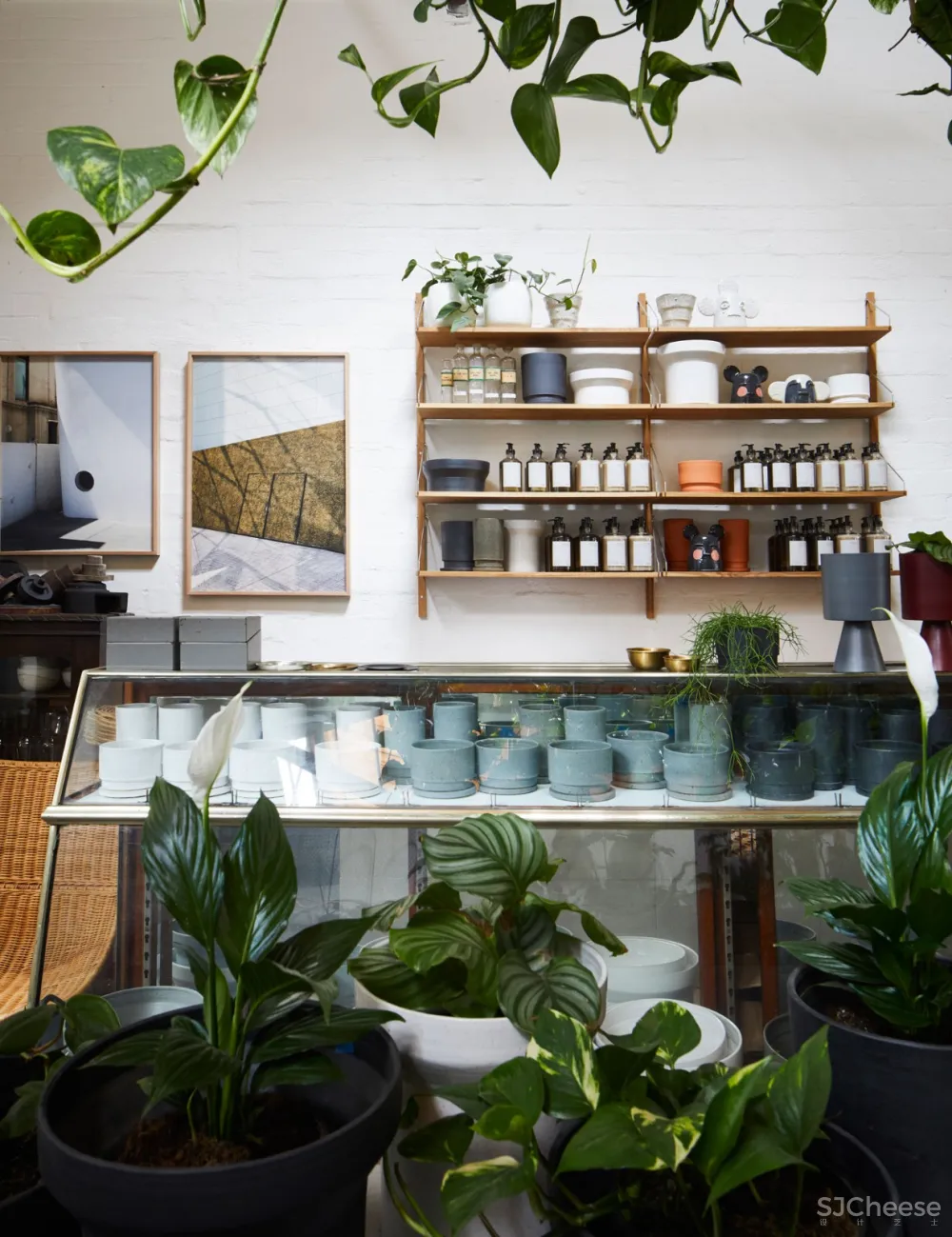 THE PLANT SOCIETY 植物协会新旗舰店