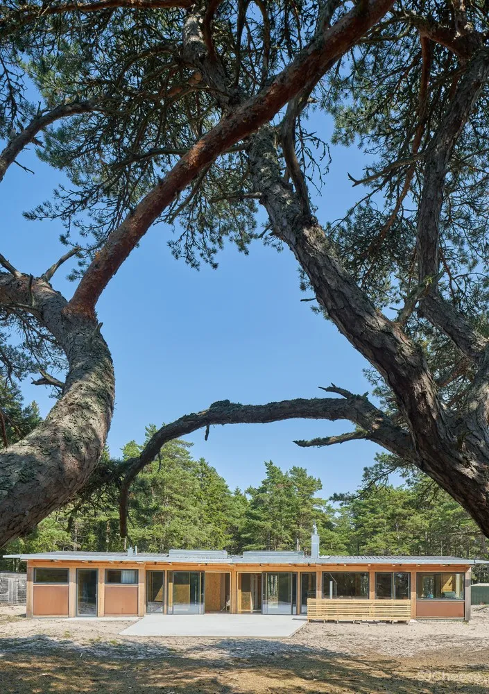 The Dune Cabin | 海洋森林中的度假屋