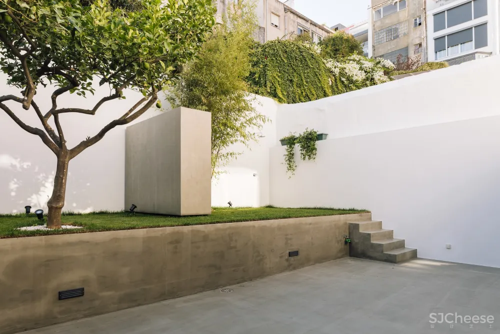 Manuel Cachão Tojal 舒适明亮的公寓体验