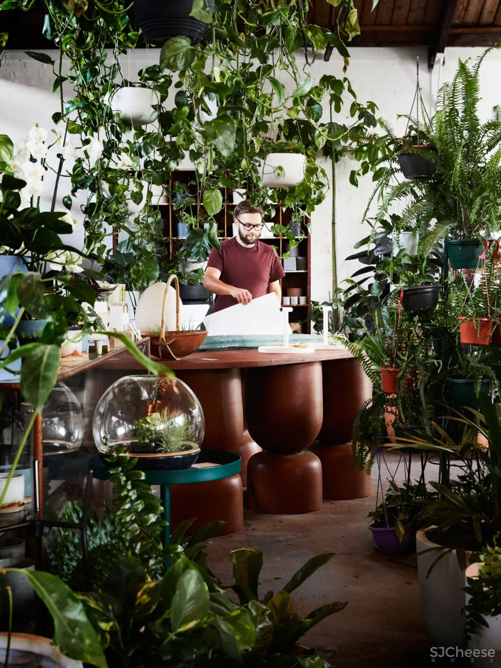 THE PLANT SOCIETY 植物协会新旗舰店