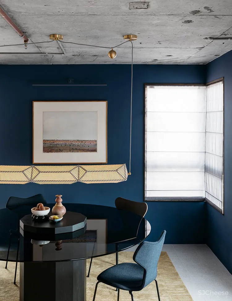 悉尼这间时髦公寓有着丰富和强大的室内功能