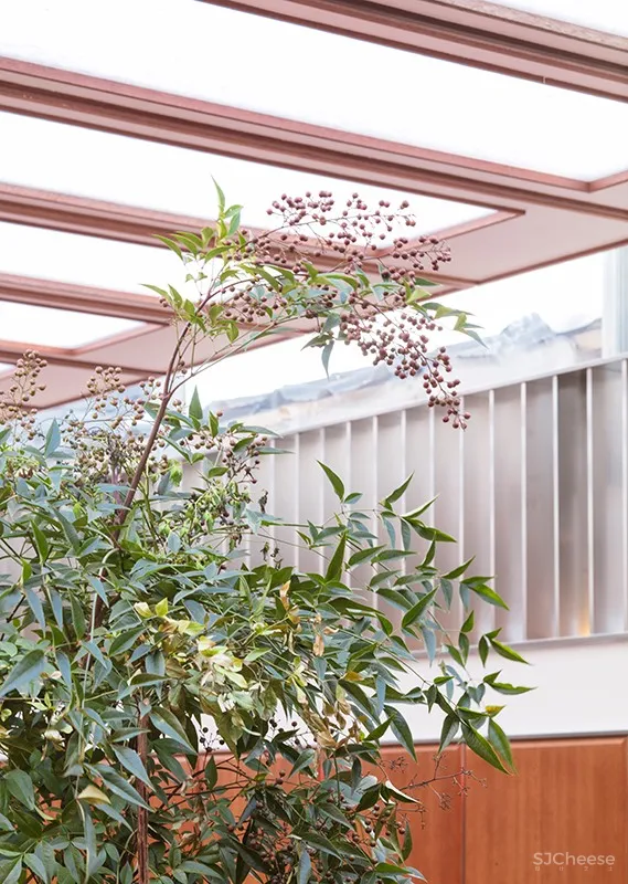 首尔老建筑内的现代 CALIGARI 酒吧 | labotory 首