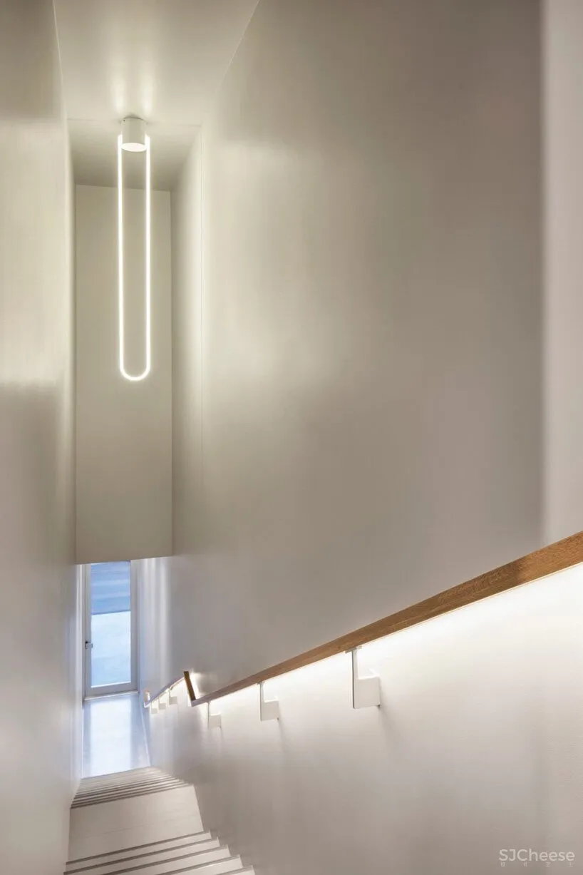 蒙特利尔废弃照相馆改造兽医医院和住宅设计