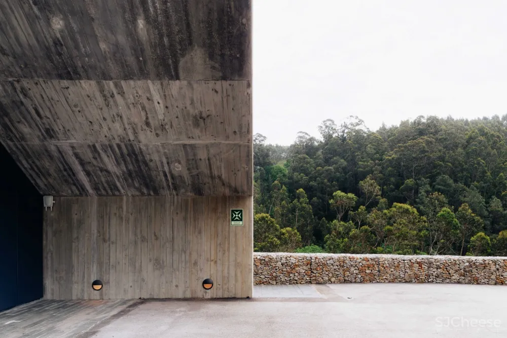 Pedro Geraldes | 森林中的现代工业建筑