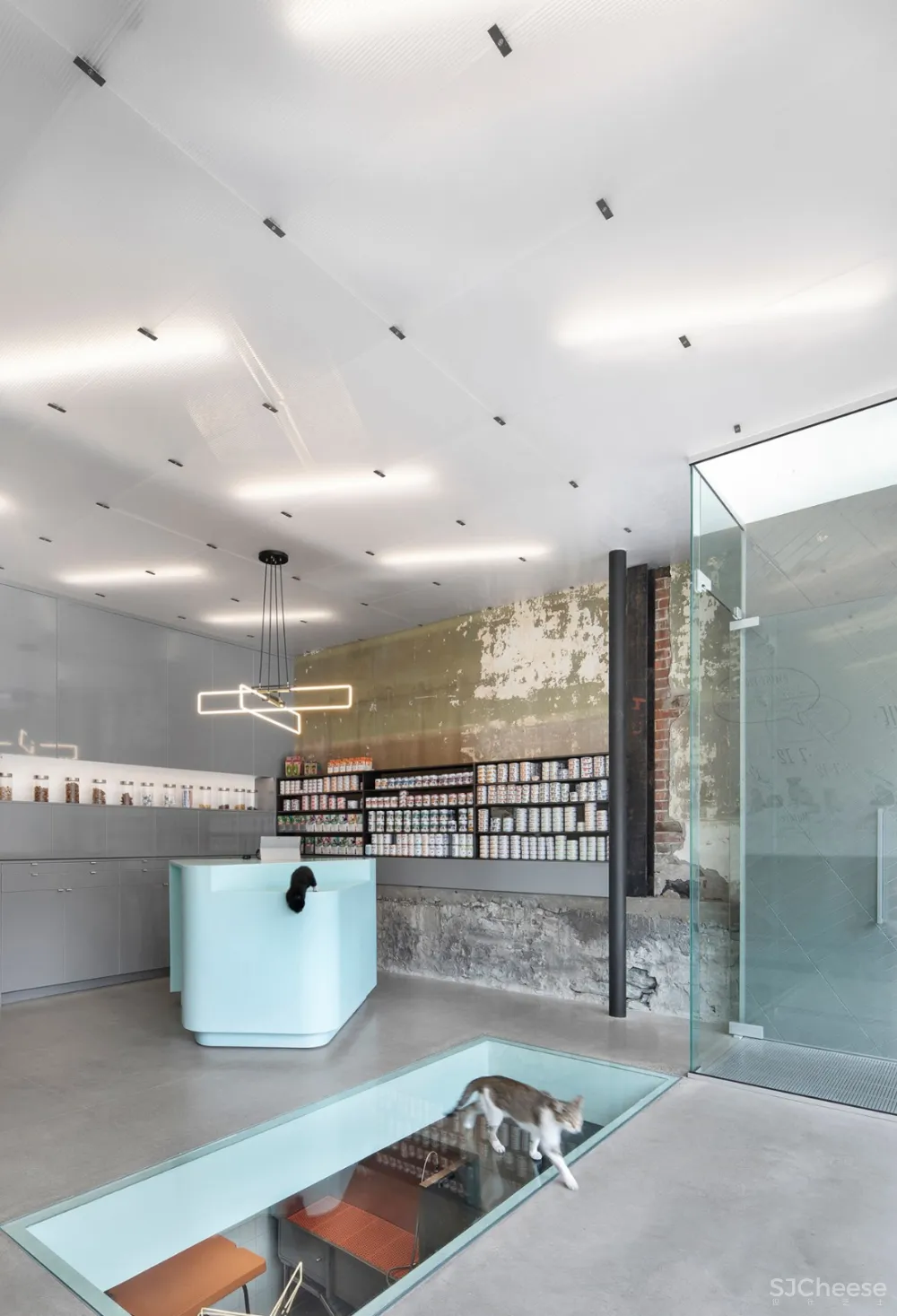 TBA:色彩舒缓的兽医诊所 首