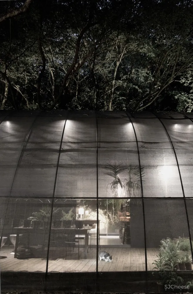 自然治愈系 / DIVOOE ZEIN Architects 首