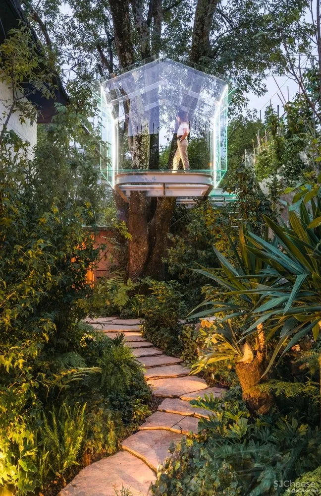 Broissin Arquitectos 运用玻璃重新诠释树屋