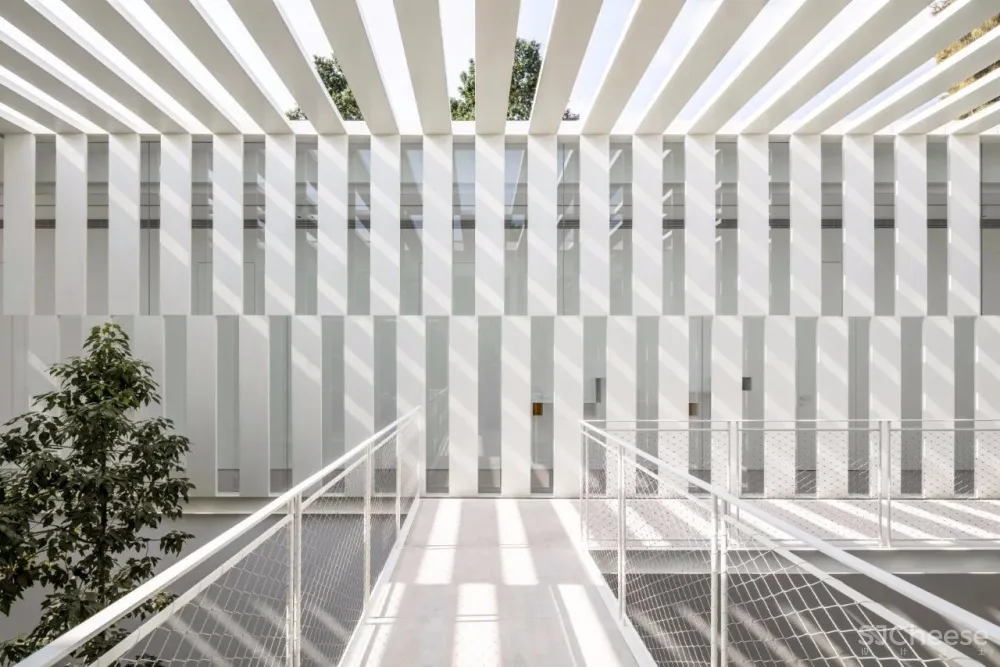 1500m² 大别墅，极简大师这样打造，美竟如此纯粹