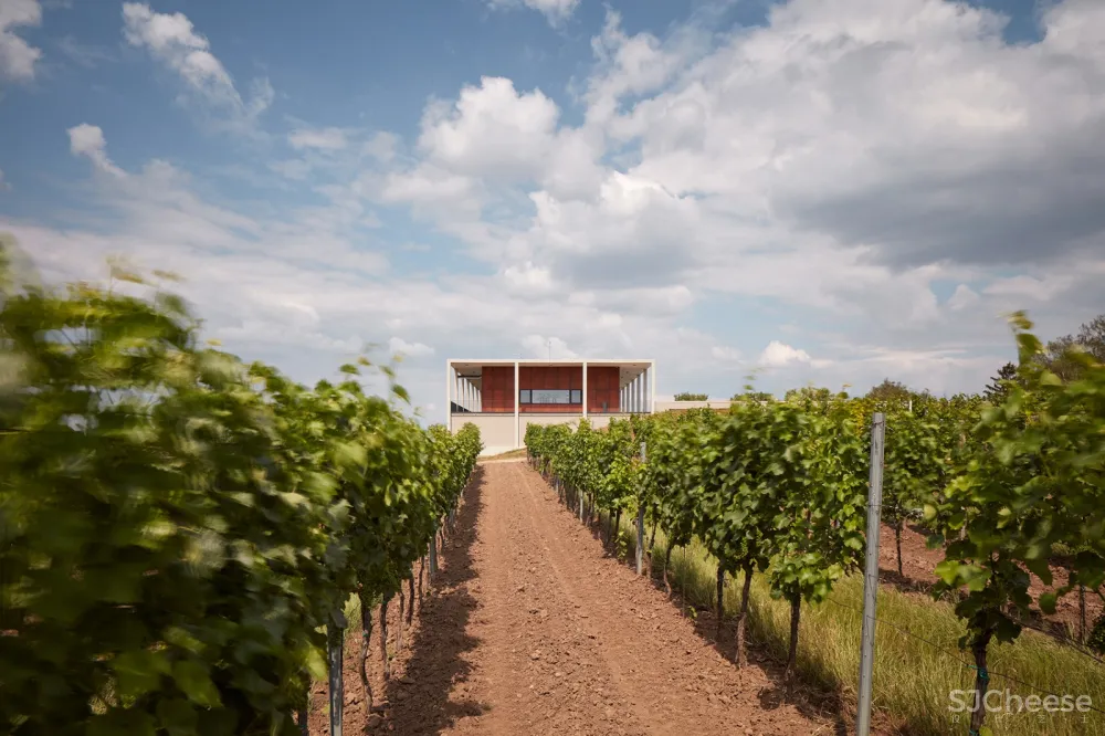 Obelisk酒庄：AiD team a.s. 首