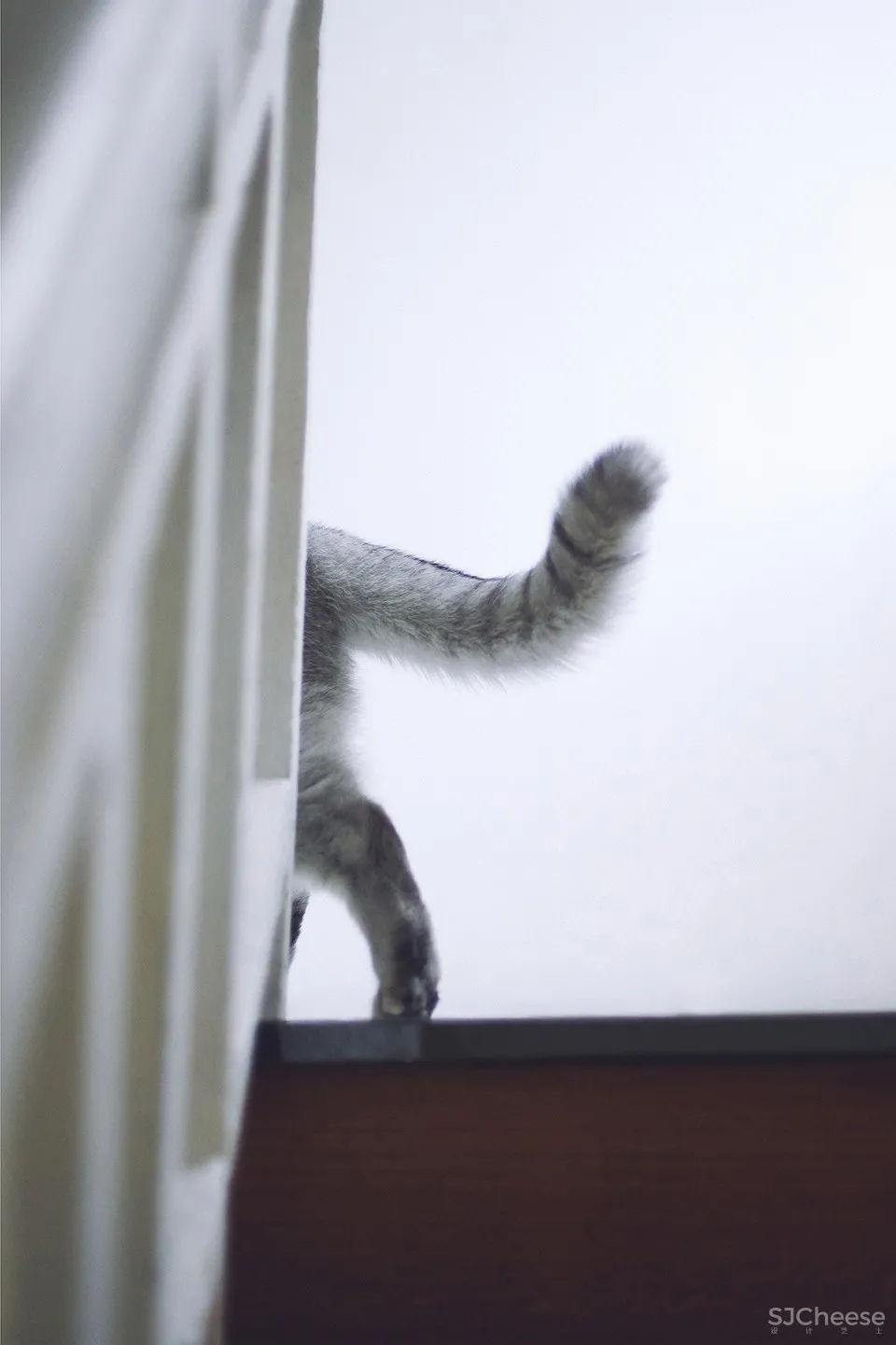 DPD | 广州斑影盒子:「俩」生活研究所 首