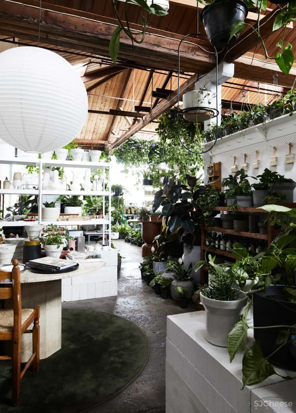 THE PLANT SOCIETY 植物协会新旗舰店