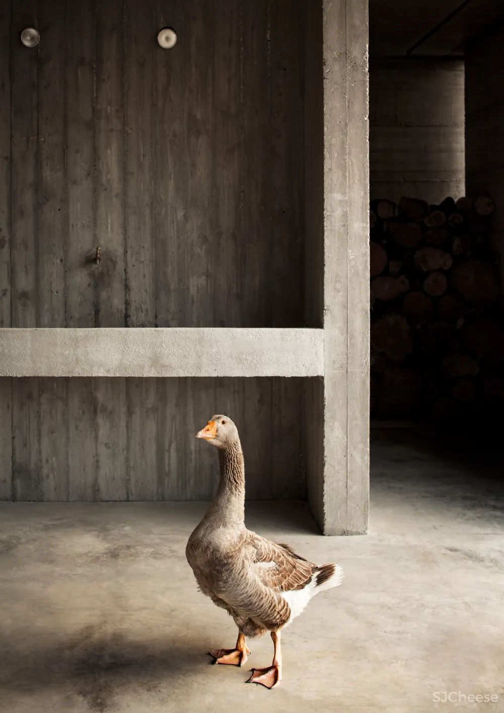 Deamicisarchitetti submerges concrete machinery depot into hillside