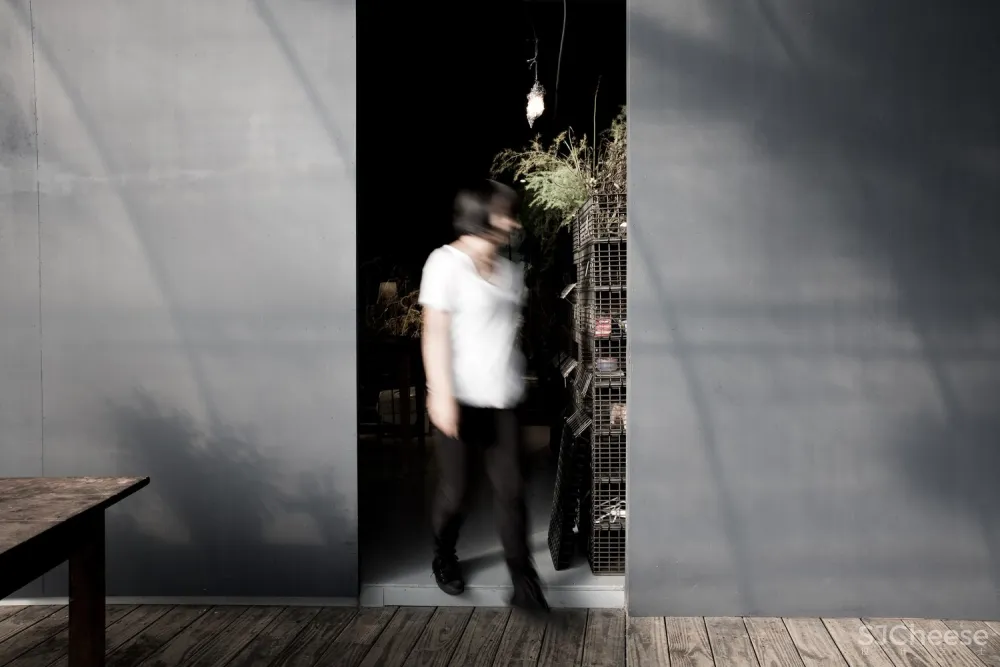 自然治愈系 / DIVOOE ZEIN Architects 首