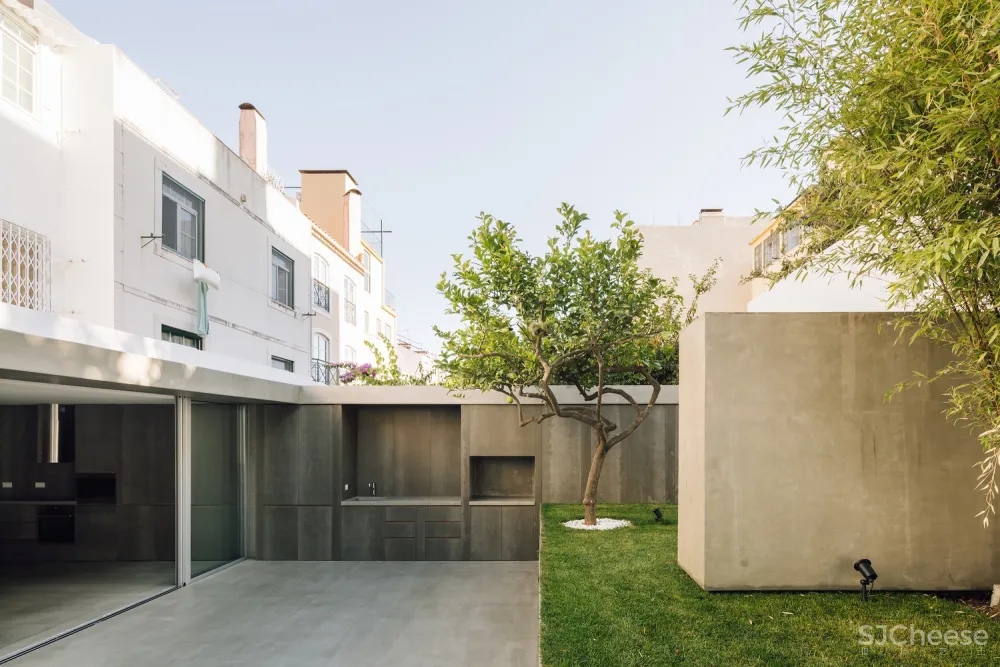 Manuel Cachão Tojal 舒适明亮的公寓体验