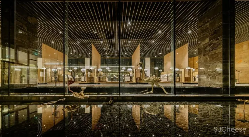 水元素+千鸟飞翔 | 达观国际设计事务所