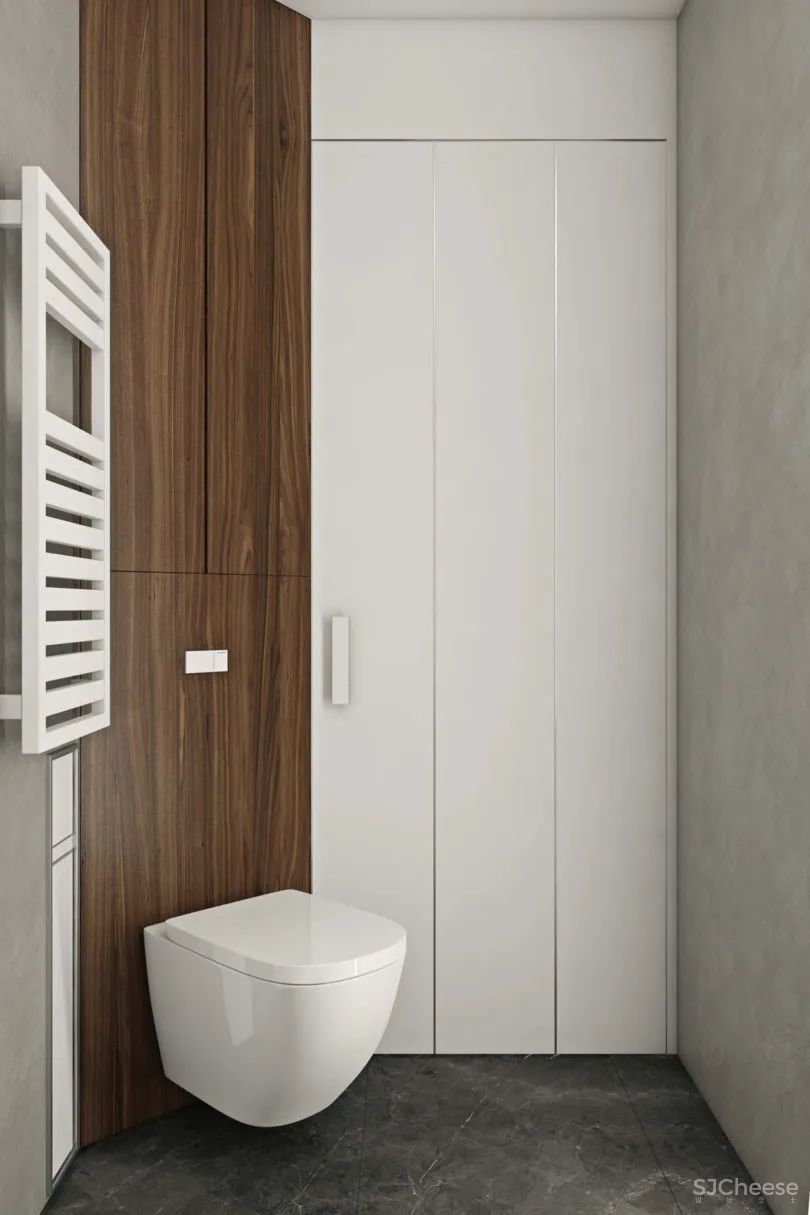 莫斯科Novoe Tushino极简主义现代公寓