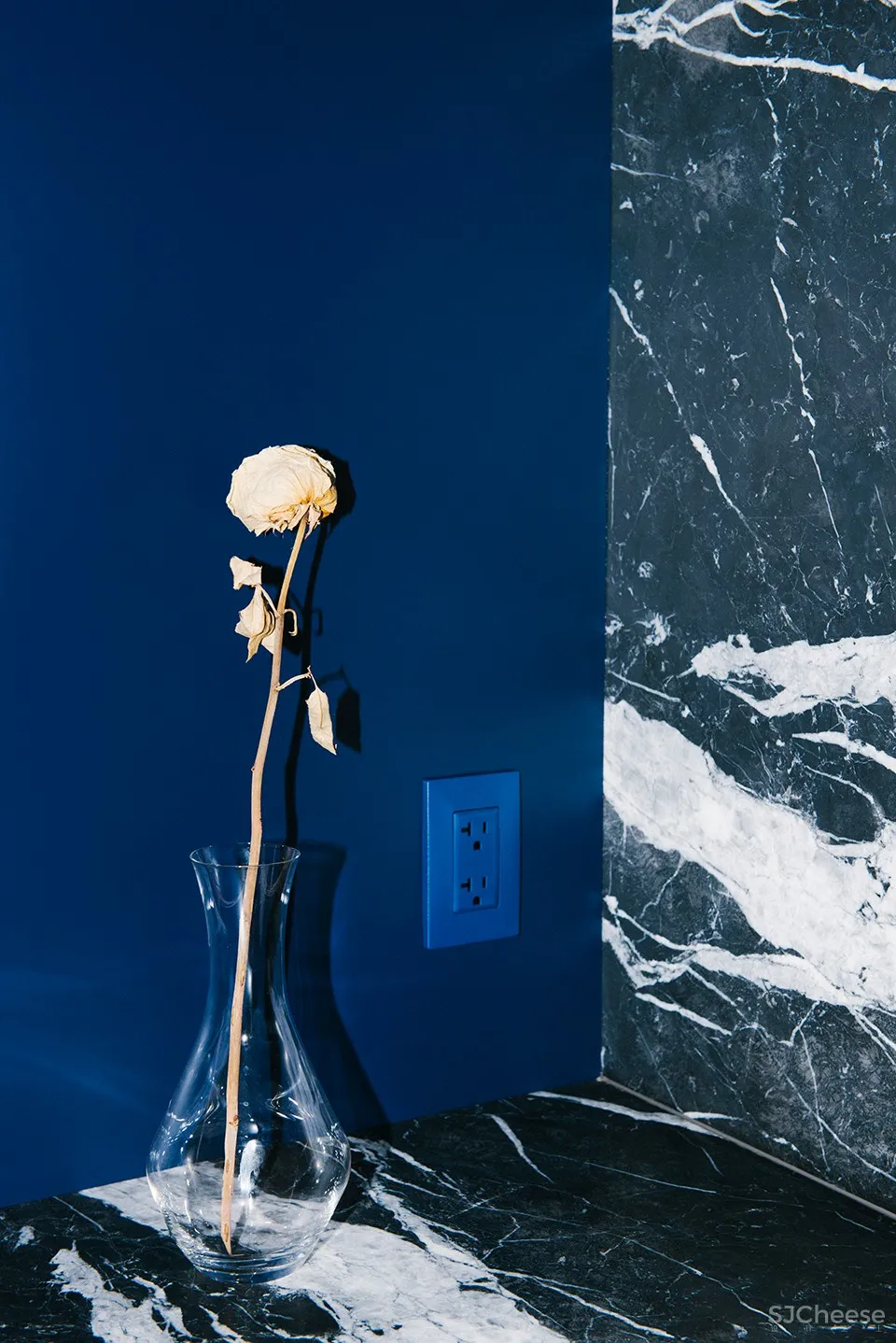 Studio Roslyn:温哥华 Ad Astra住宅 首