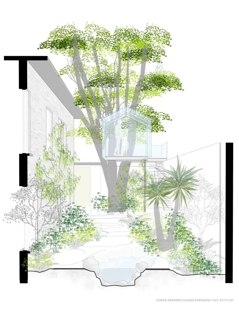 Broissin Arquitectos 运用玻璃重新诠释树屋