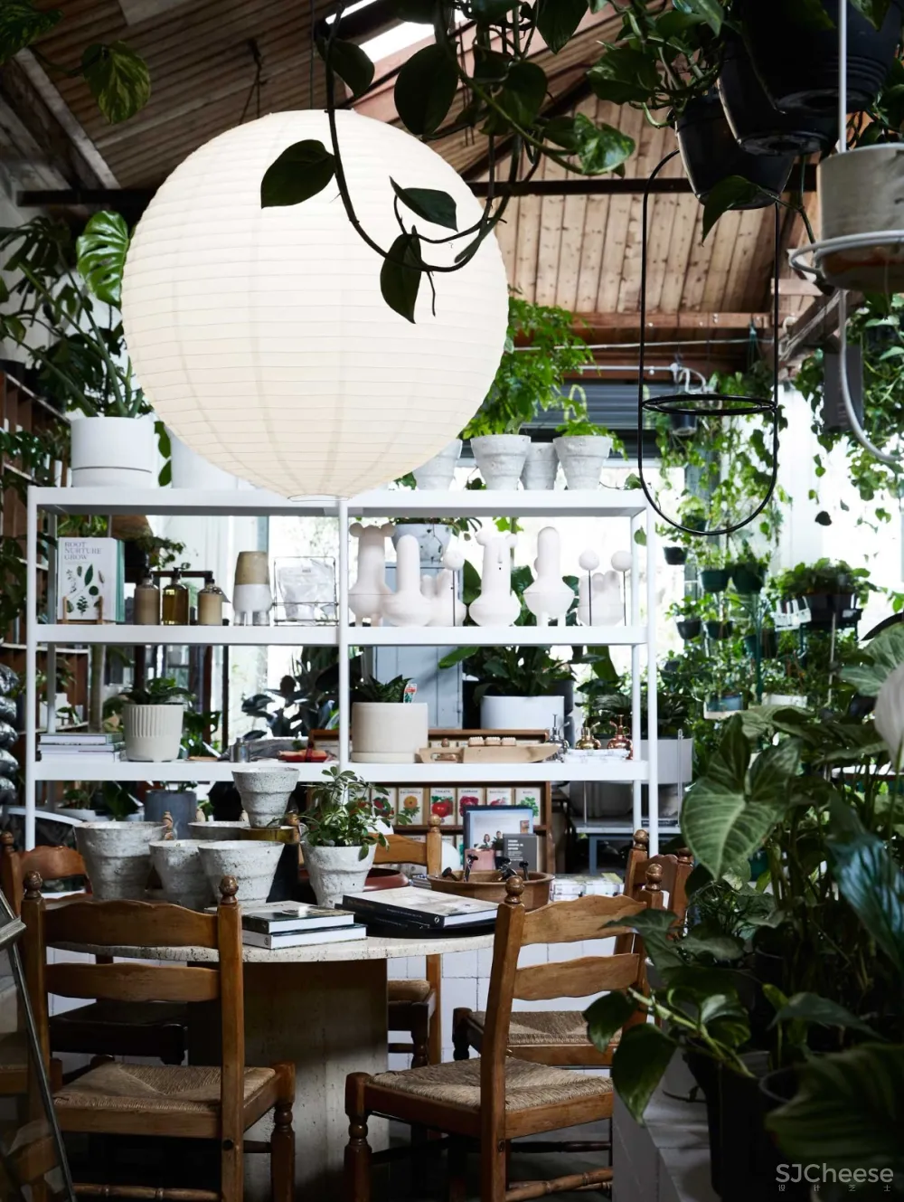 THE PLANT SOCIETY 植物协会新旗舰店