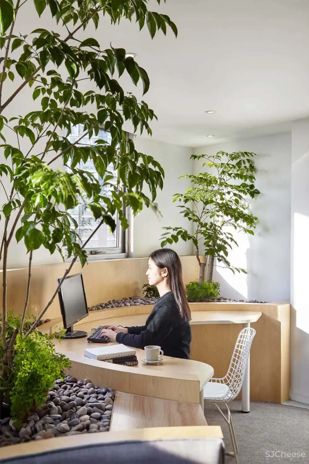 上海一家隐于钢筋混凝土的工作花园