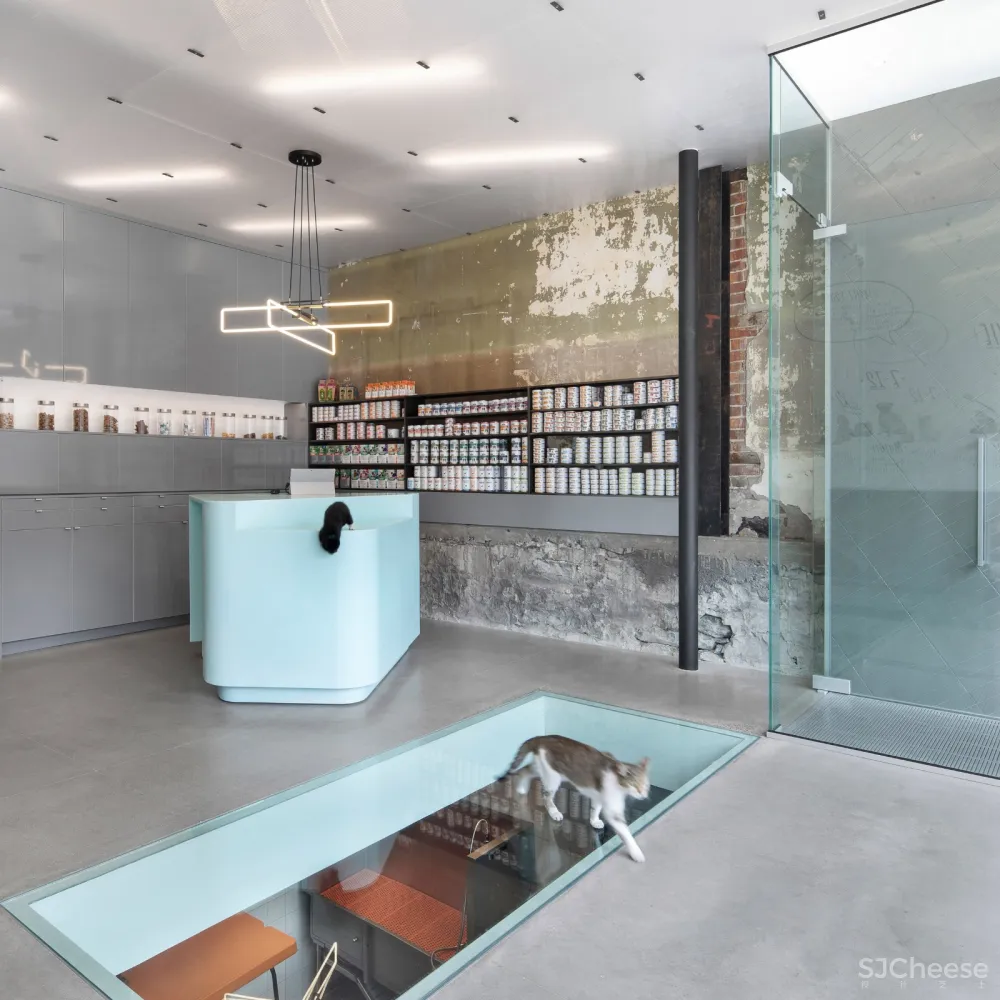 TBA:色彩舒缓的兽医诊所 首