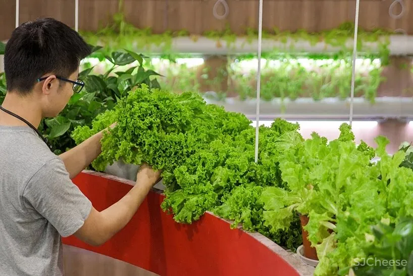 北京乐平公益基金会办公室设计