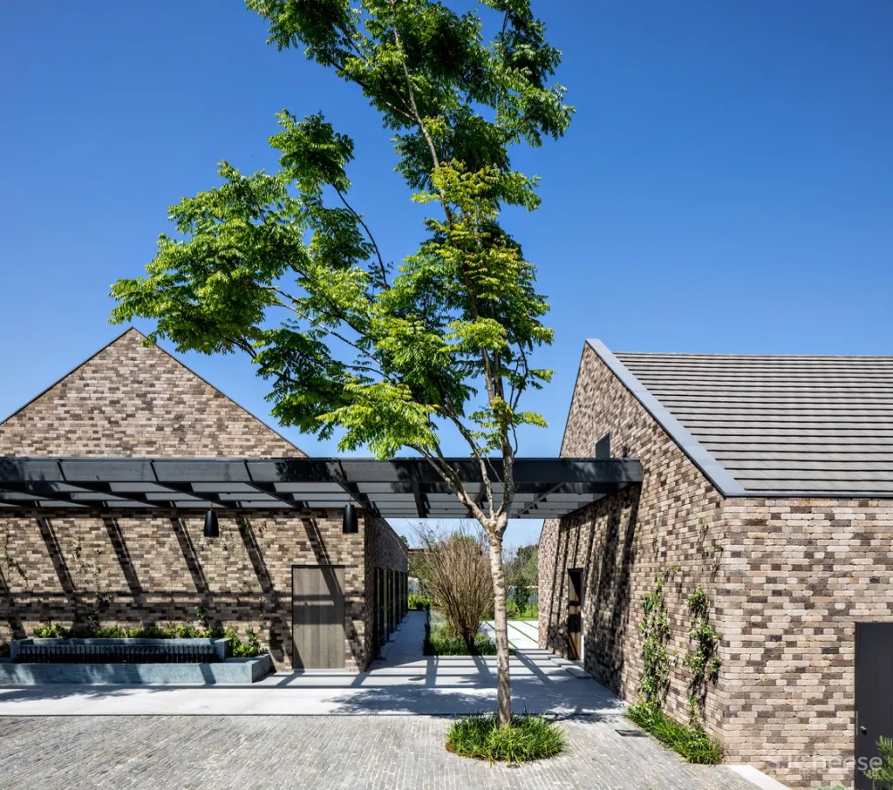 项目03 / Kiko Salomão