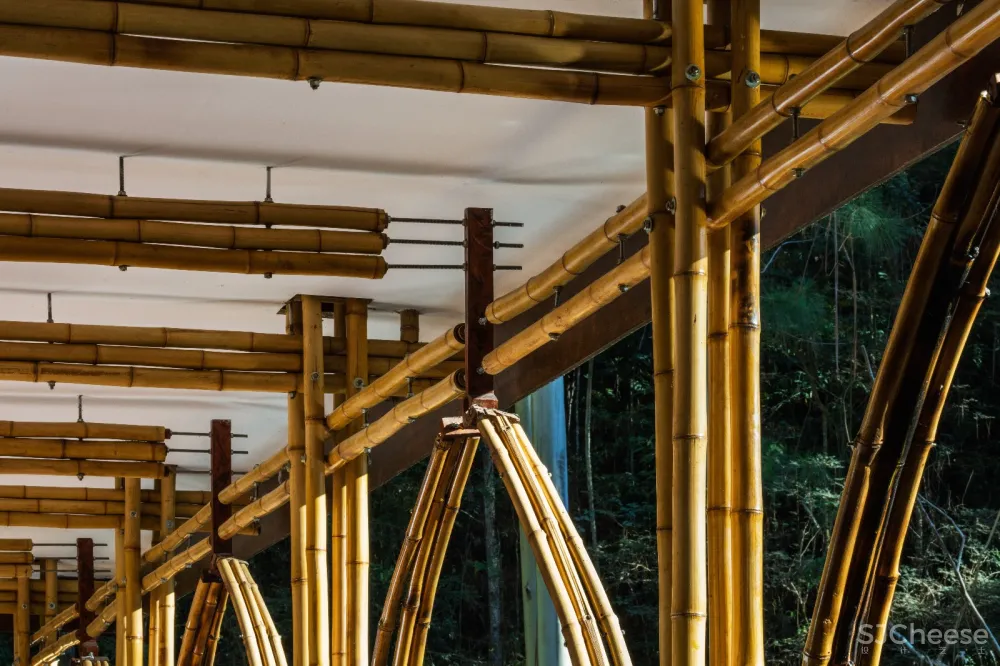 Catuçaba艺术画廊,巴西 / CRU! Architects