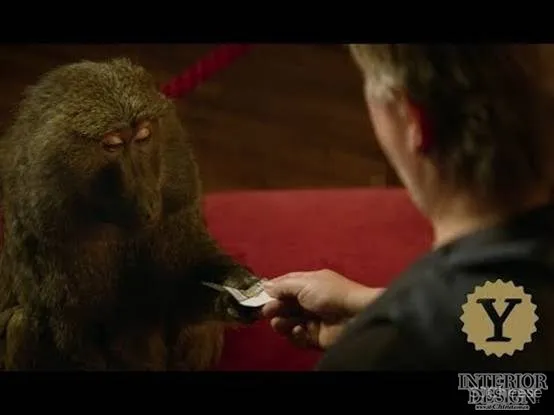 Batek Architekten + Ester Bruzkus Architekten / 德国