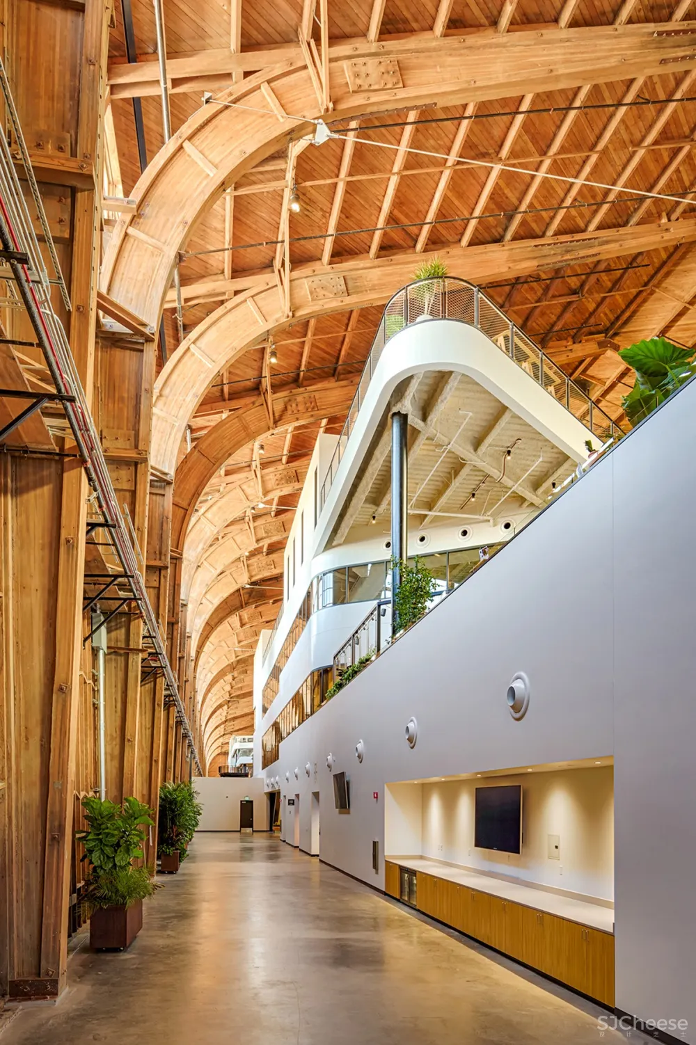 ZGF Architects | Google Spruce Goose办公室,开放式工作空间