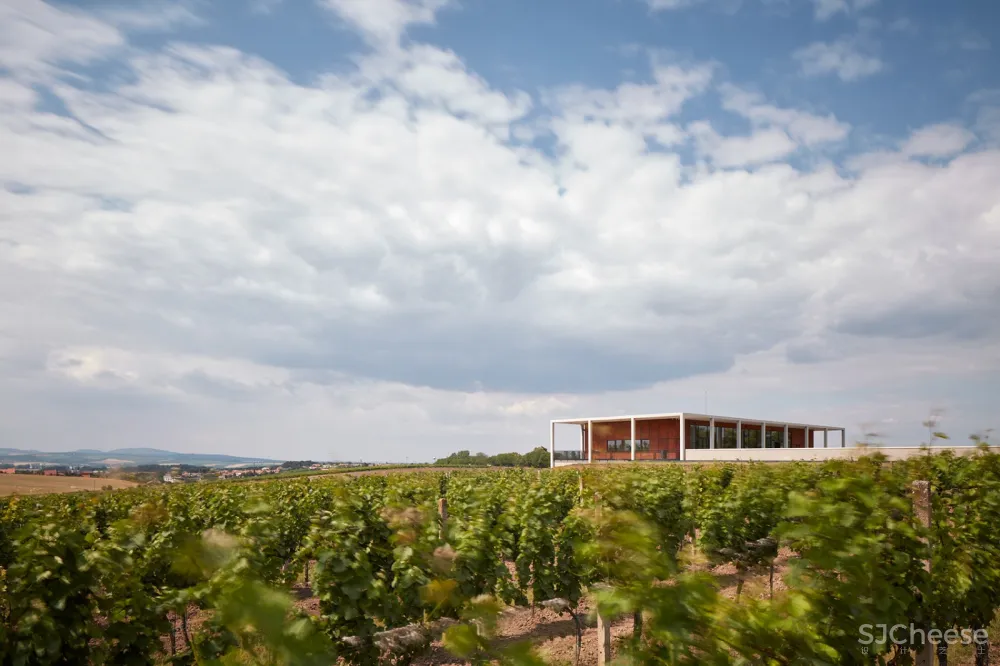 Obelisk酒庄：AiD team a.s. 首