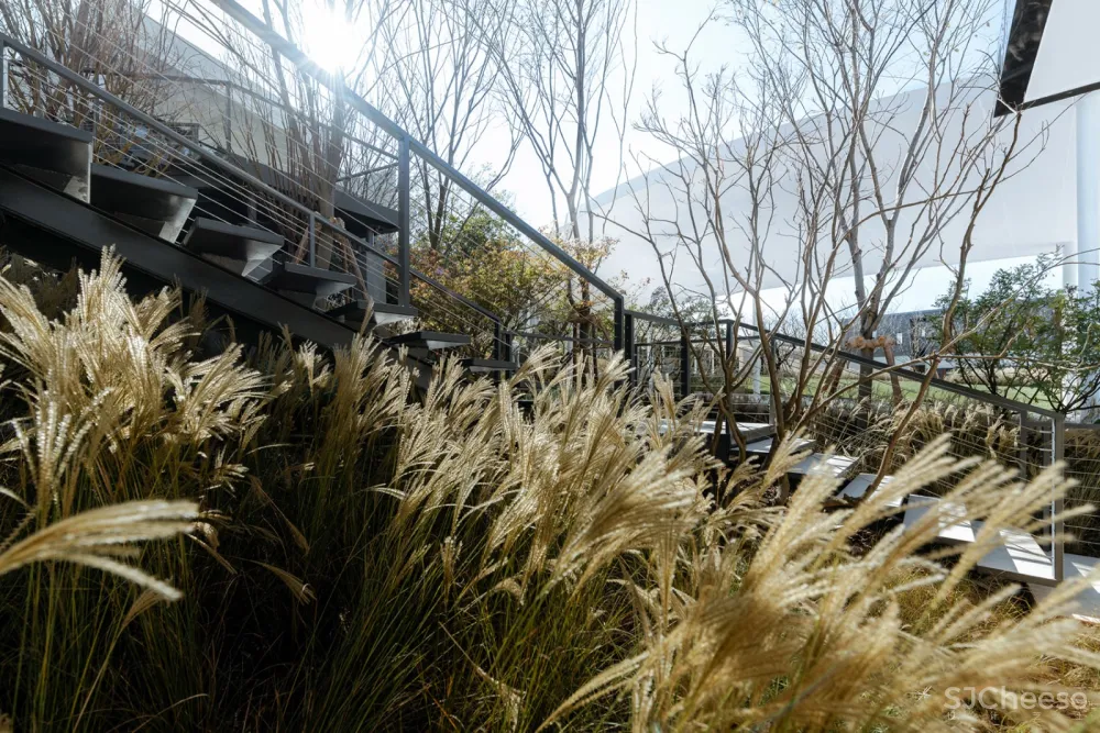 “云” – 云南抚仙湖万科艺术美学中心 / 承迹景观 首