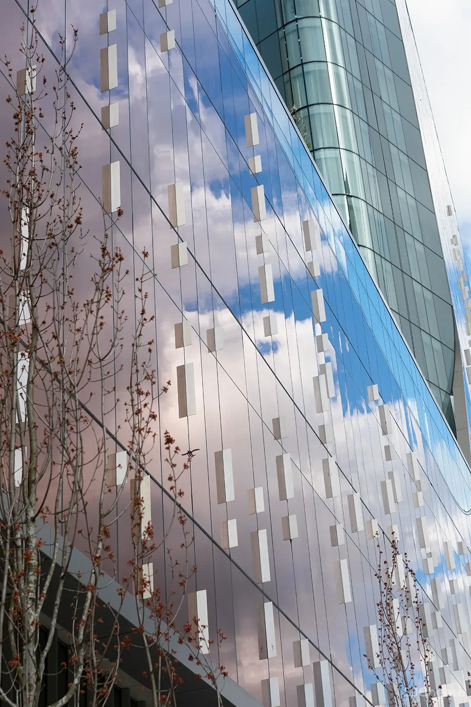 PARQ大厦,温哥华 / ACDF Architecture + Architecture49