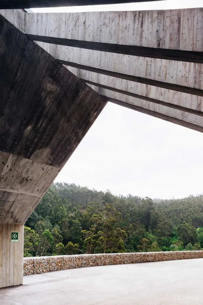 Pedro Geraldes | 森林中的现代工业建筑