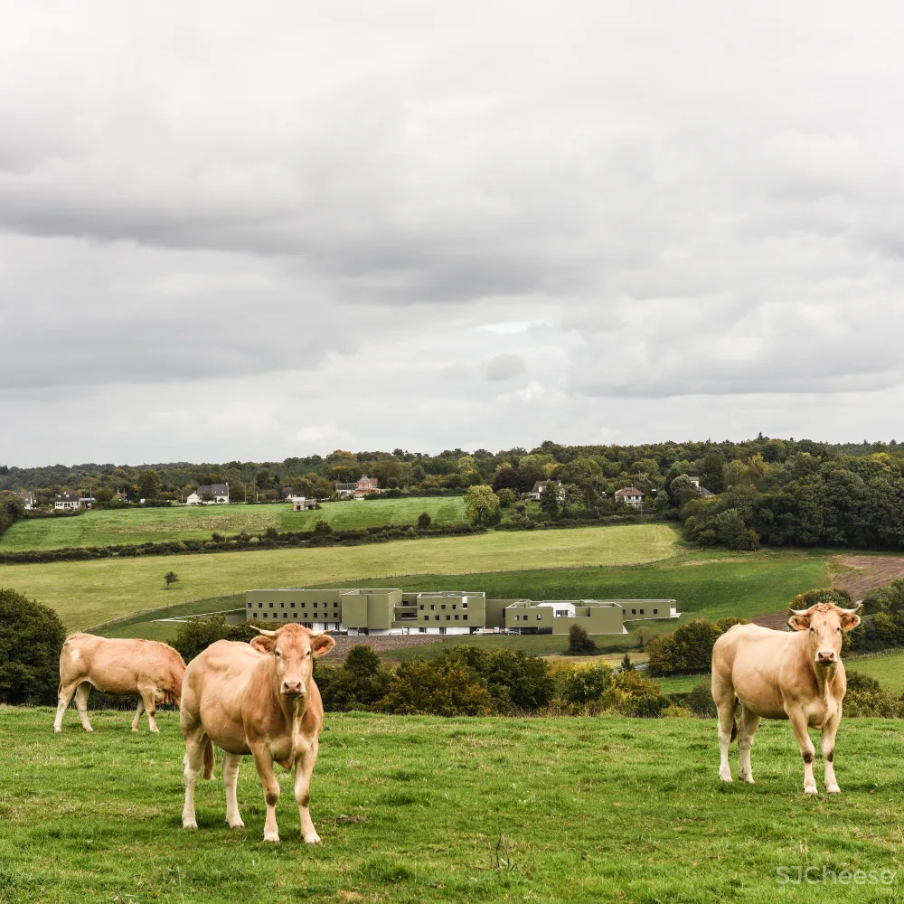 home for dependent elderly people and nursing home in orbec