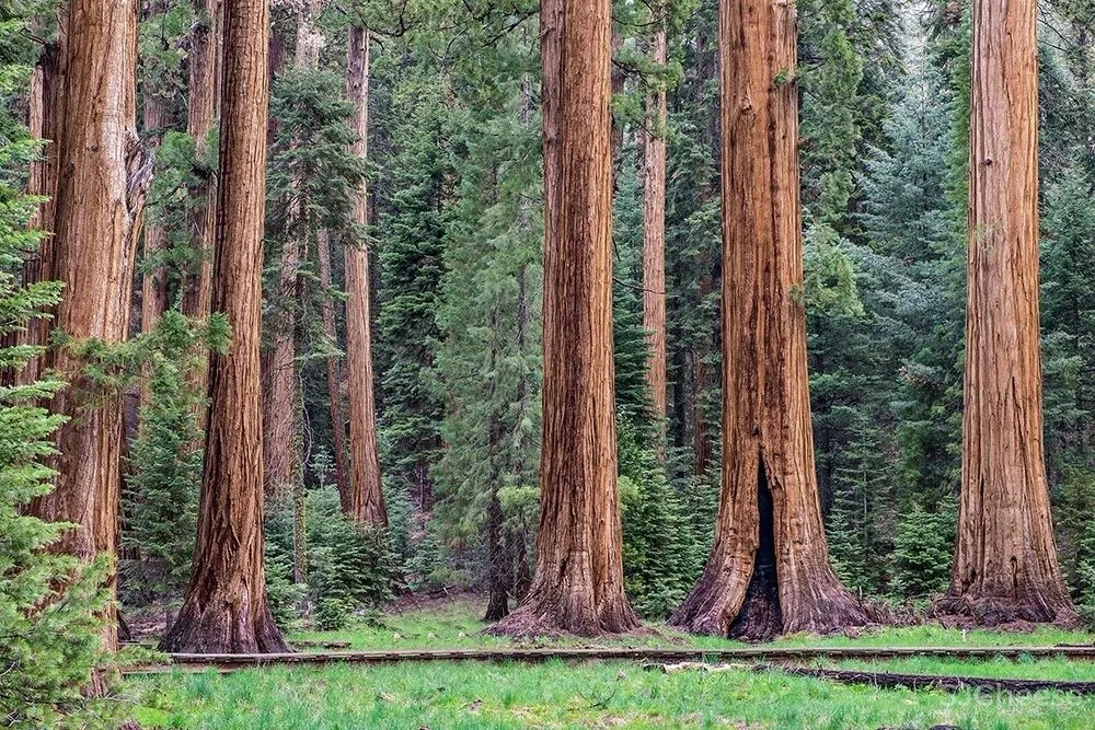 100000 种创意,也不及一颗纯粹的灵魂!