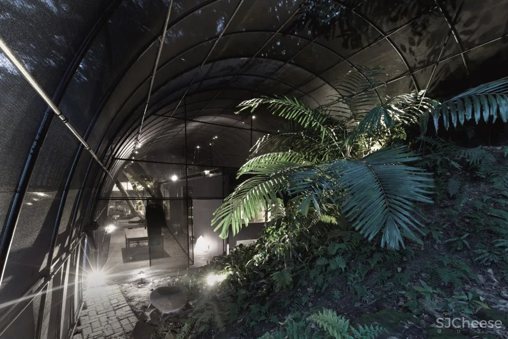 自然治愈系 / DIVOOE ZEIN Architects 首