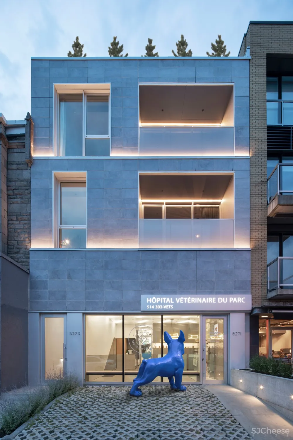 TBA:色彩舒缓的兽医诊所 首