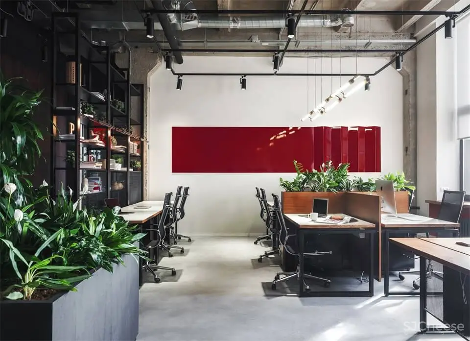 俄罗斯PETSHOP IT部门包豪斯风格办公室设计