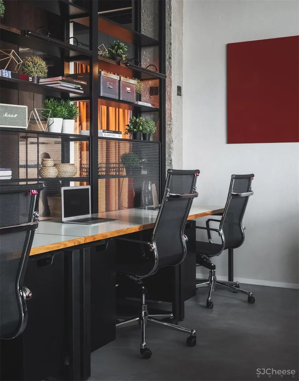 俄罗斯PETSHOP IT部门包豪斯风格办公室设计