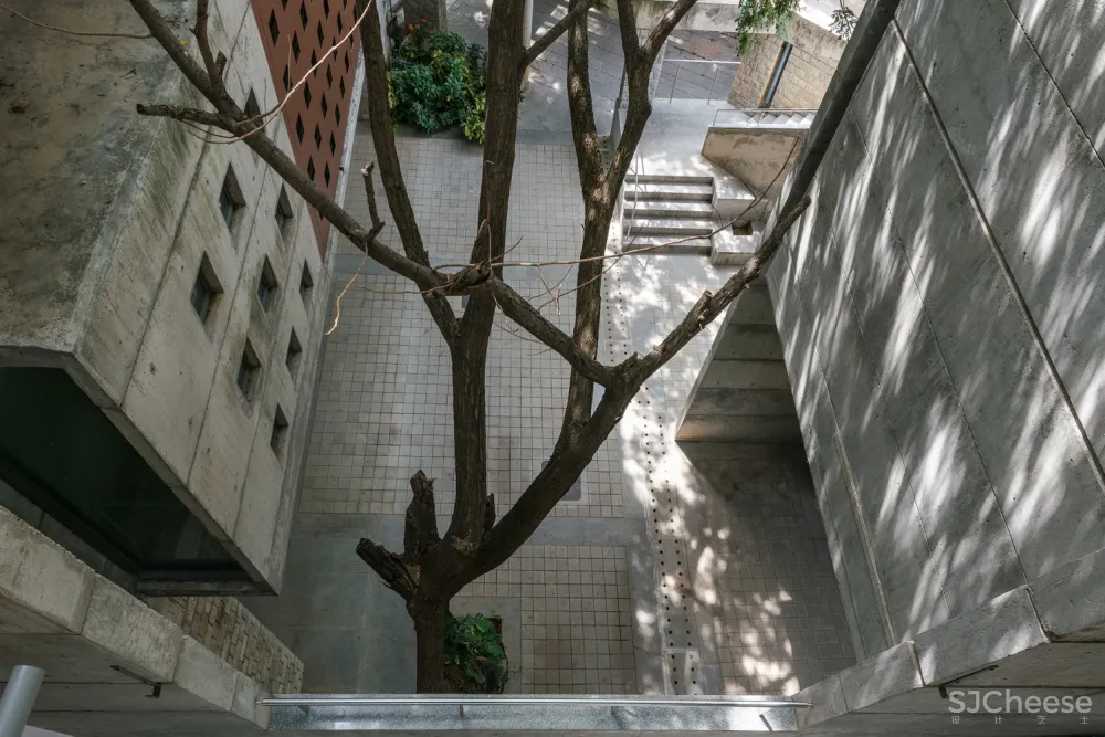 IIM-B 新教学综合体 / Mindspace Architects 首