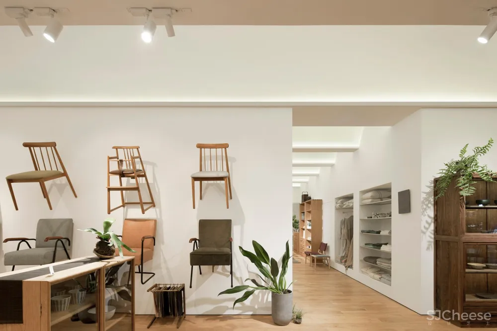 “ 失物招领”:时间与物品的交互之美 首