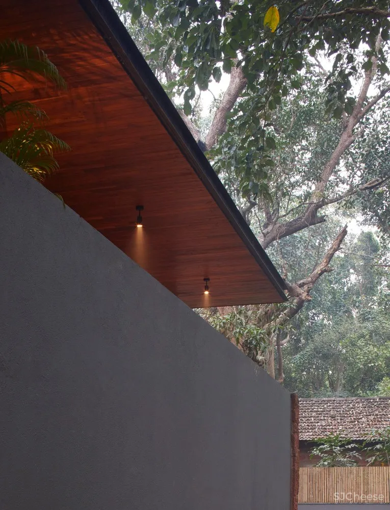 棕榈住宅 / Abraham John Architects